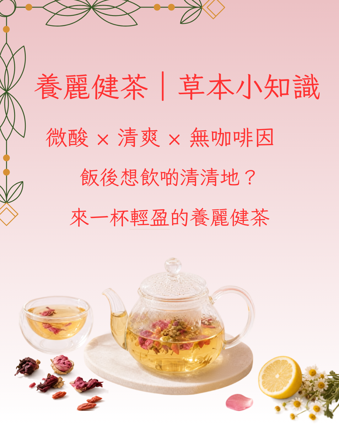 養麗健茶|一杯微酸清爽的潔淨系草本茶飲