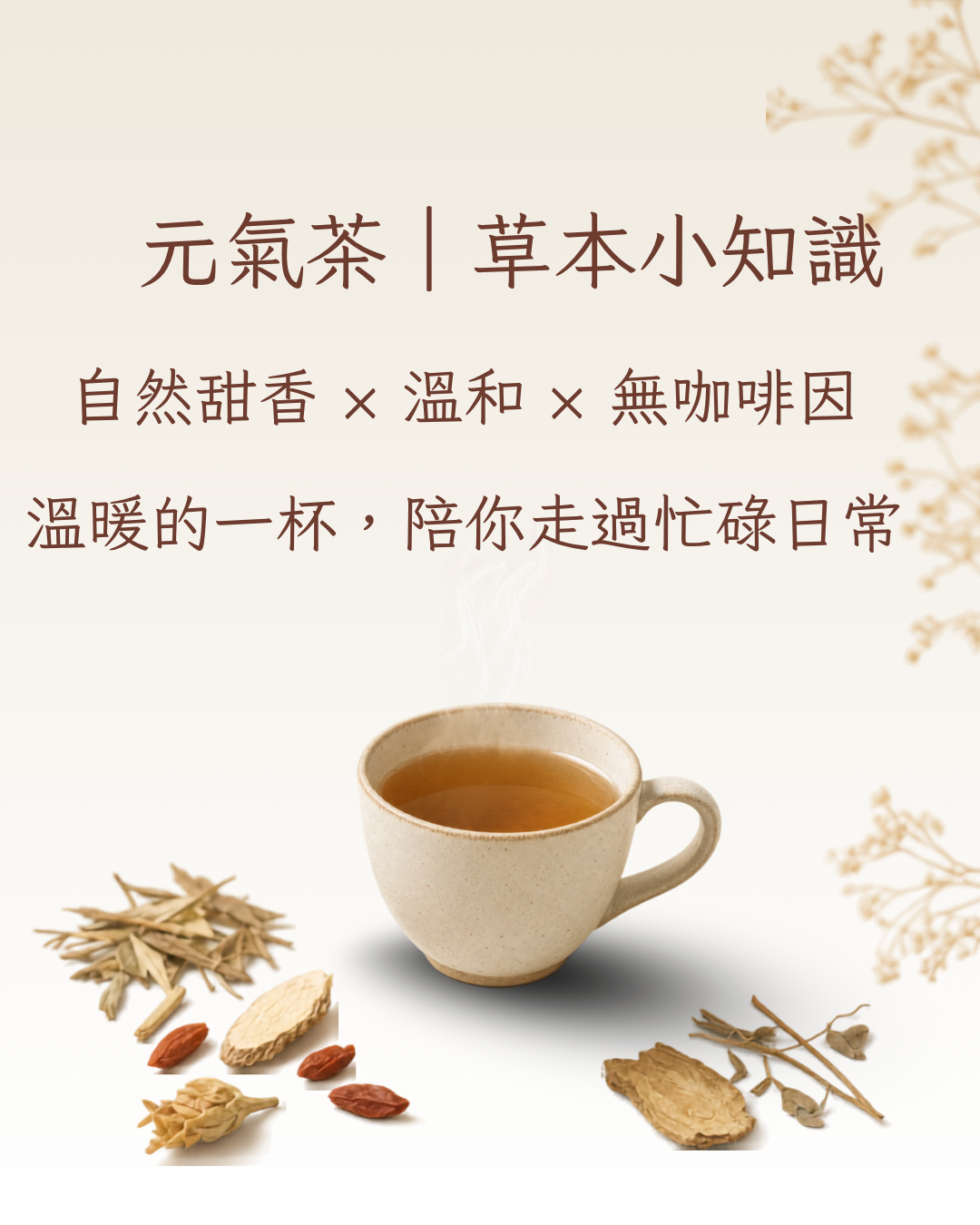 元氣茶｜一杯溫暖的草本茶，陪你走過忙碌日常