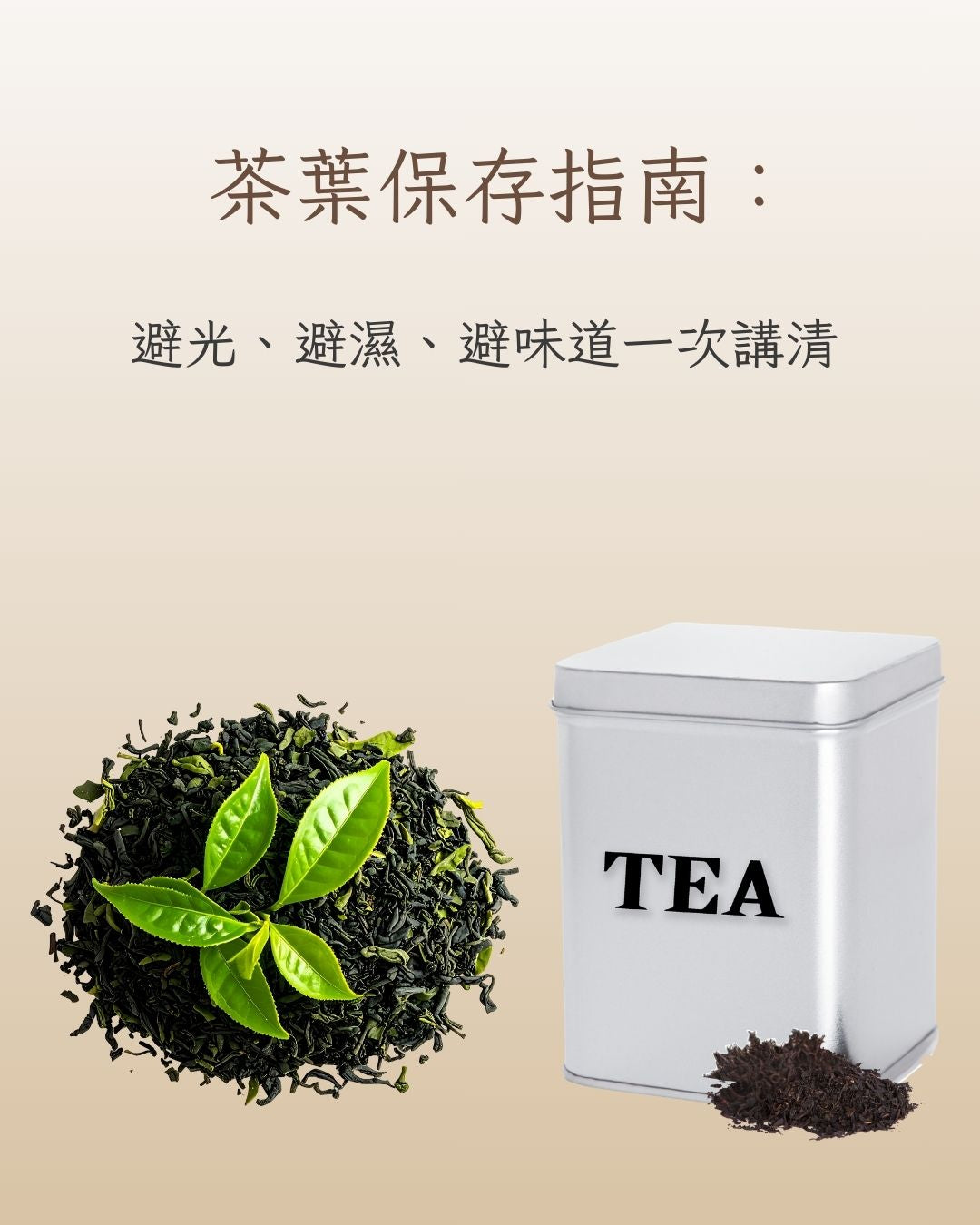 🫖 茶葉保存全指南
